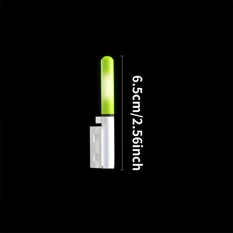 Lot de 10 lumières pour pointe - Fish Finder Battery avis et prix